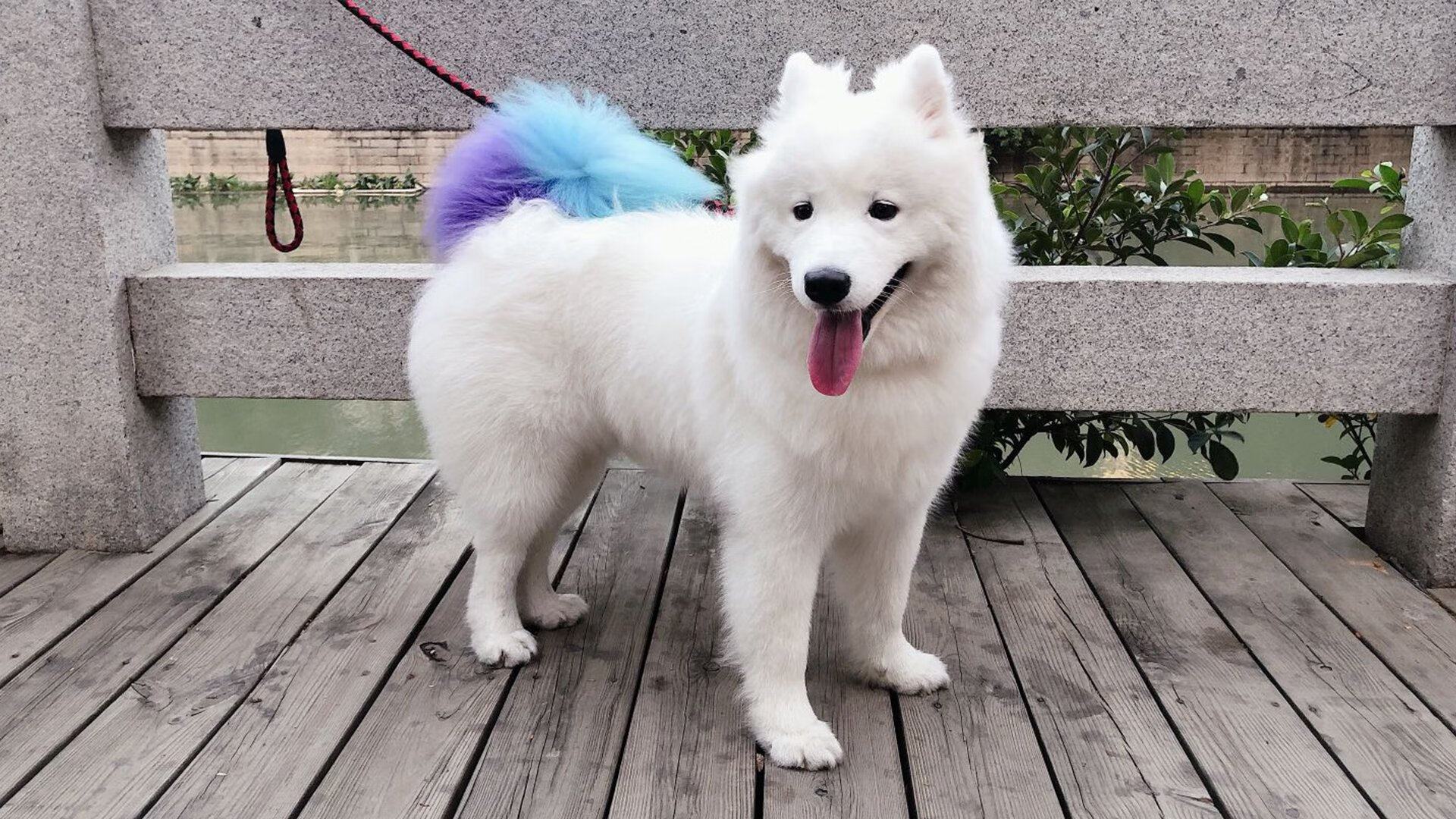 开云体育在线-虽败犹荣却难敌宿命？布伦森狂砍47分，却暴露独行侠冠军拼图致命缺口