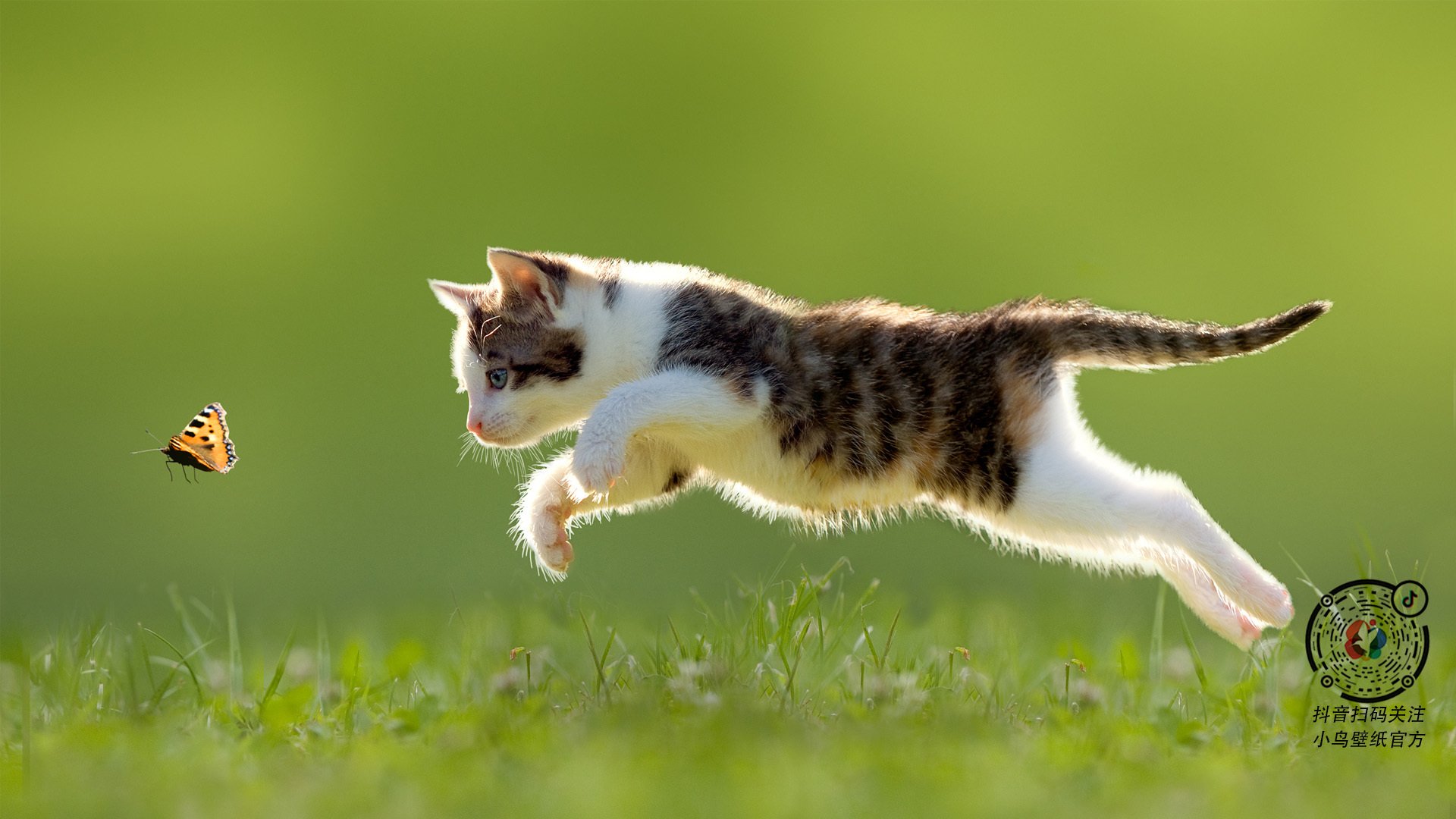 开云体育app-长城与金字塔的对话,门迪一夫当关,瑞士铁蹄踏碎埃及法老梦