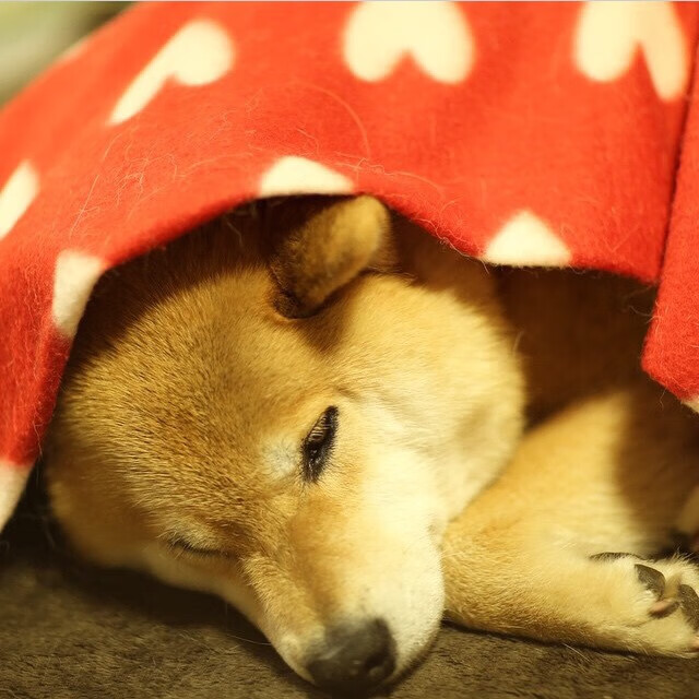 铁血红白铸就九连胜传奇，黄沙之矛伊萨克刺穿塞维利亚心脏