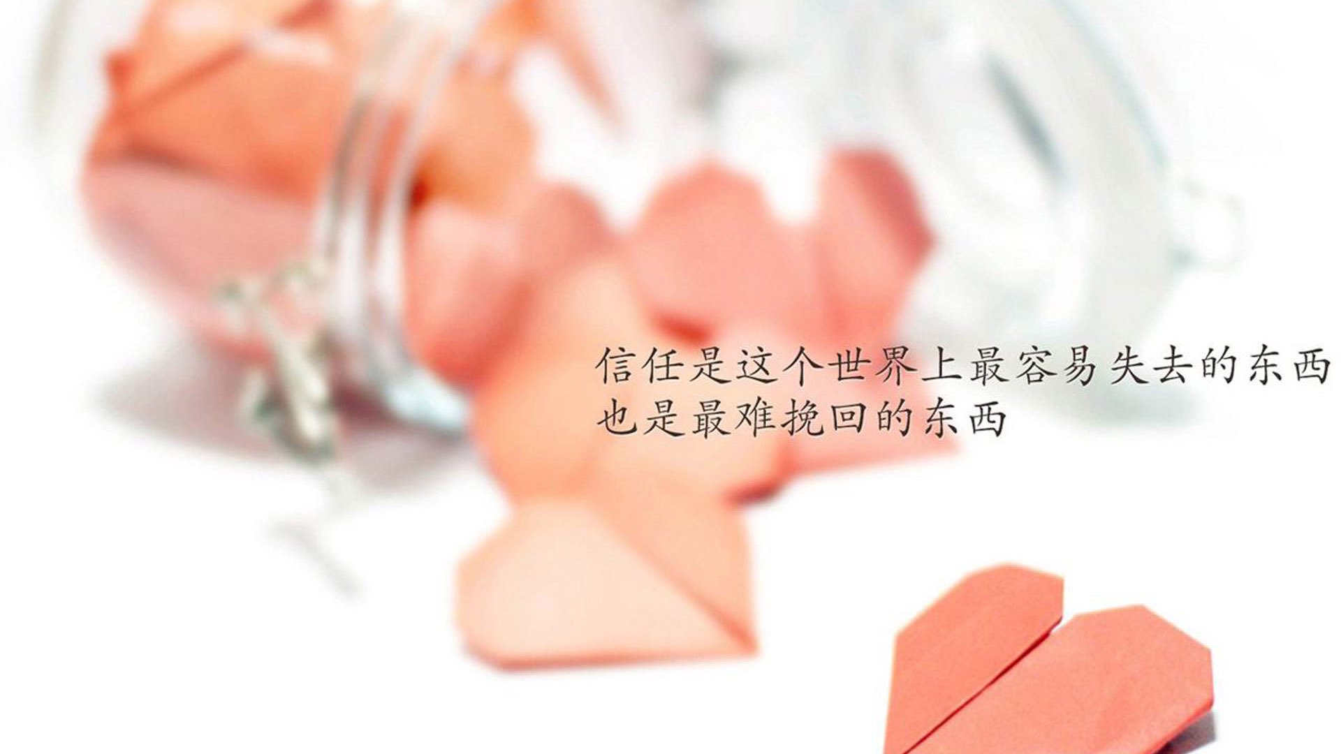 动物世界旁白版广厦主场惊现顶级掠食者，贝恩拔翅记