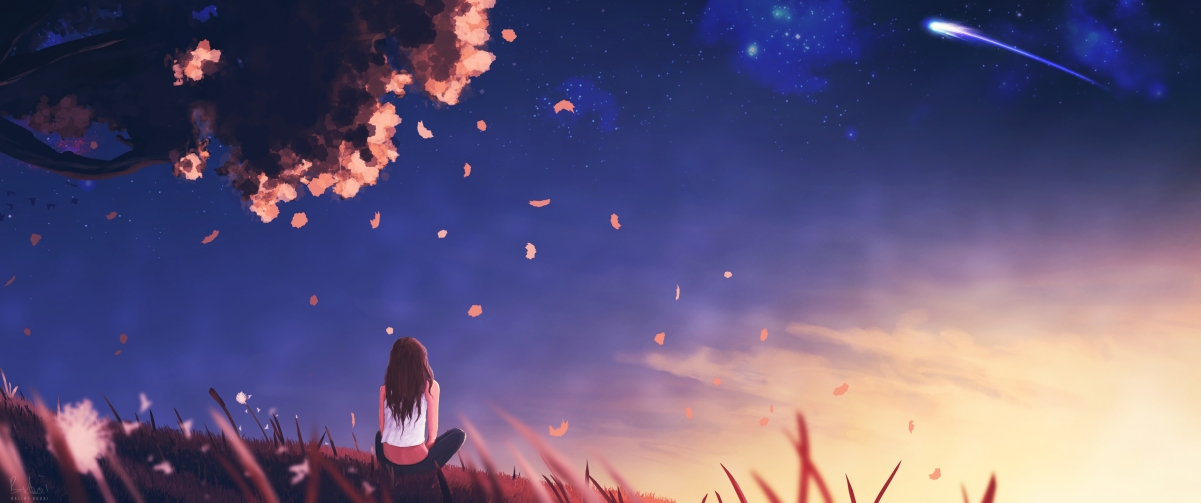 荒漠中的玫瑰，布克在2026世界杯之夜写下的永恒传说