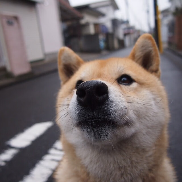 开云平台-群枪与孤星，当瑞士的钢铁洪流遇见德布劳内的孤独焰火