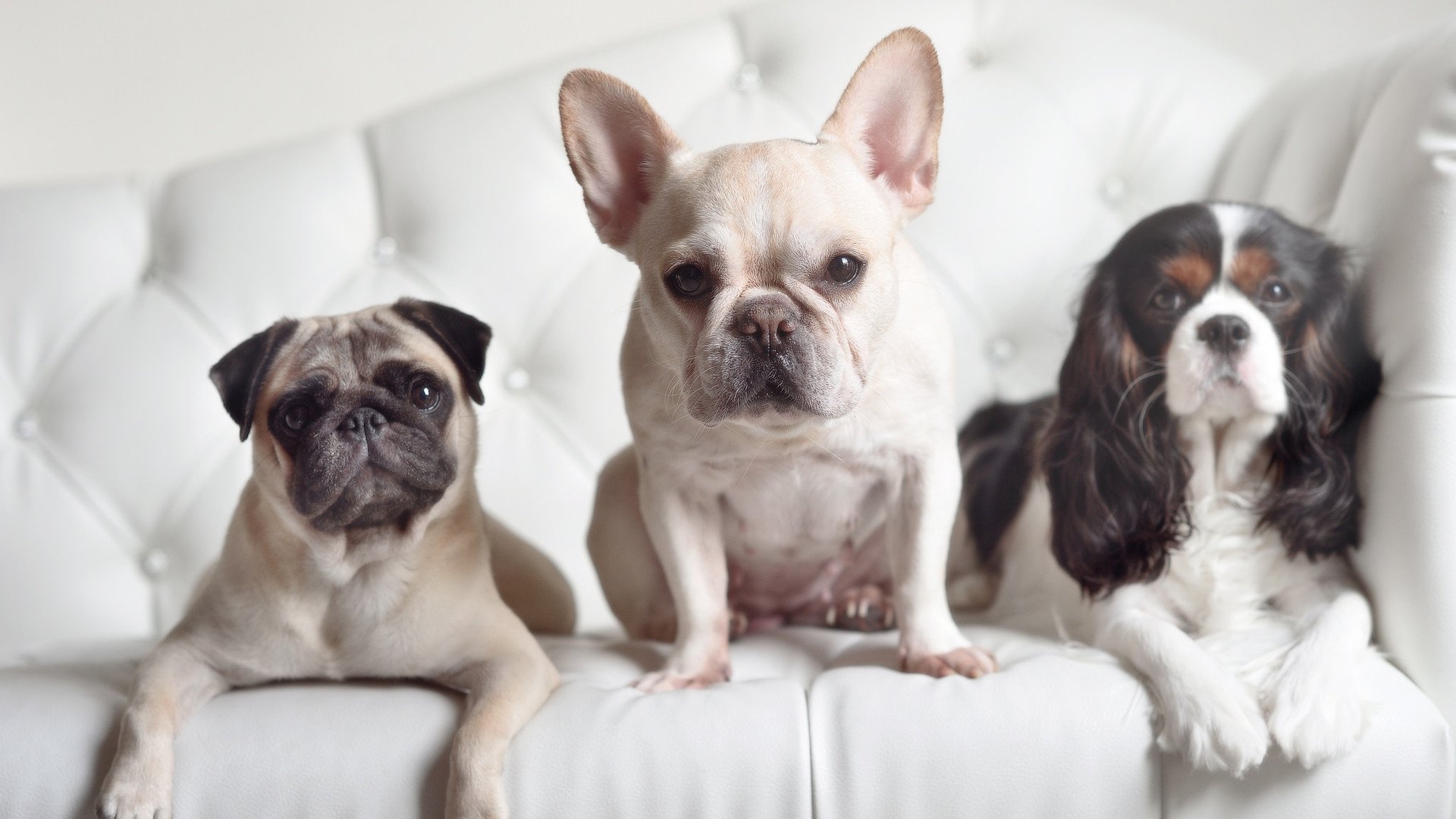 当欧冠决赛的灯光为他重燃