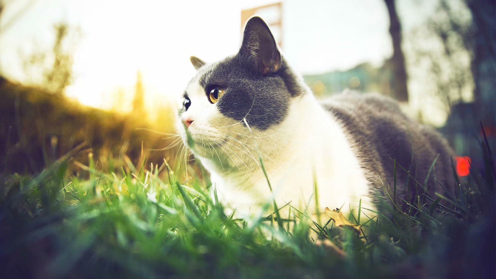 开云体育平台APP-冰封金州！死神双刃出鞘，德罗赞斩落卫冕冠军