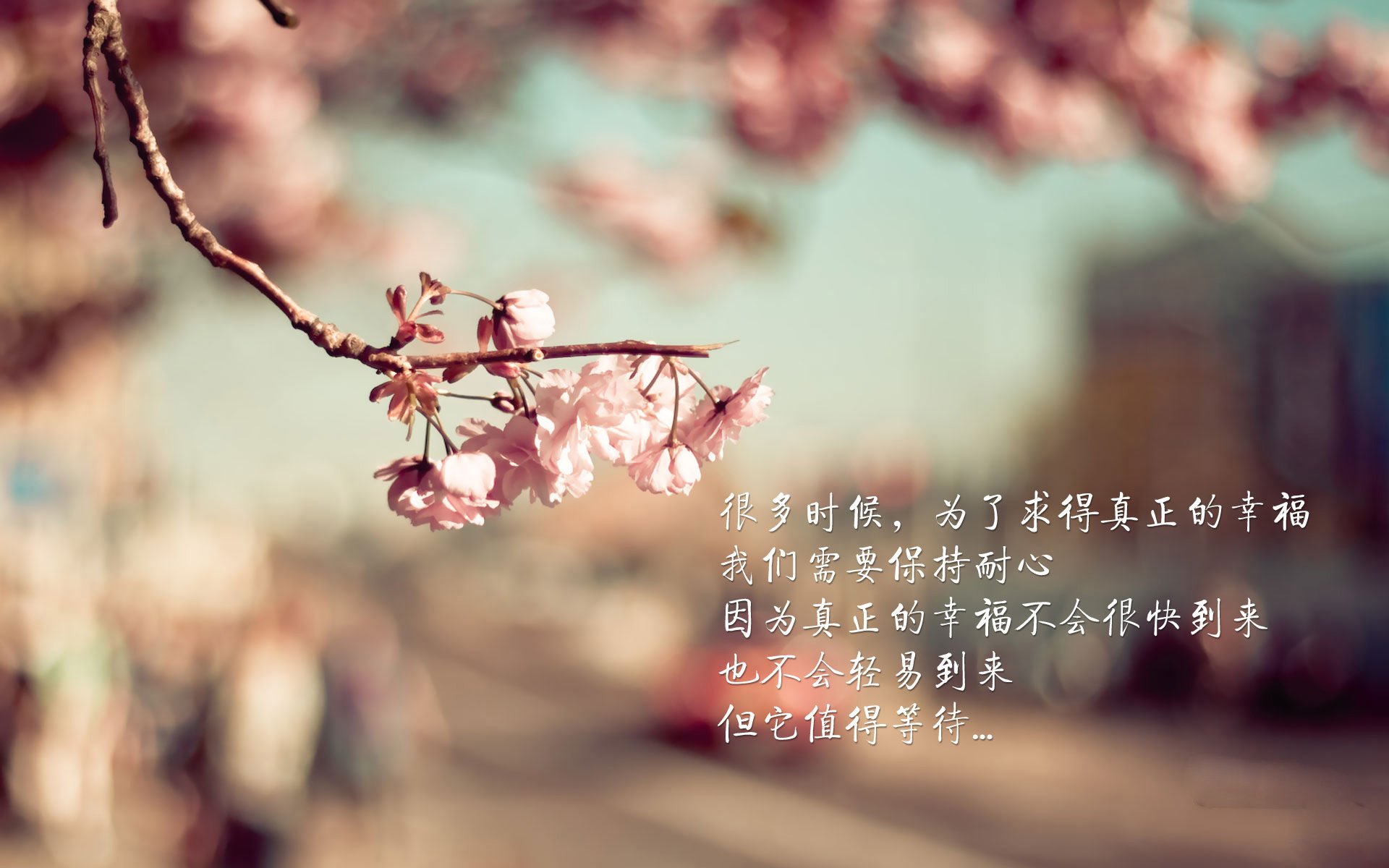 开云体育APP下载-绝杀之夜，2026世界杯D组，美国断魂一击，维尼修斯独舞封神