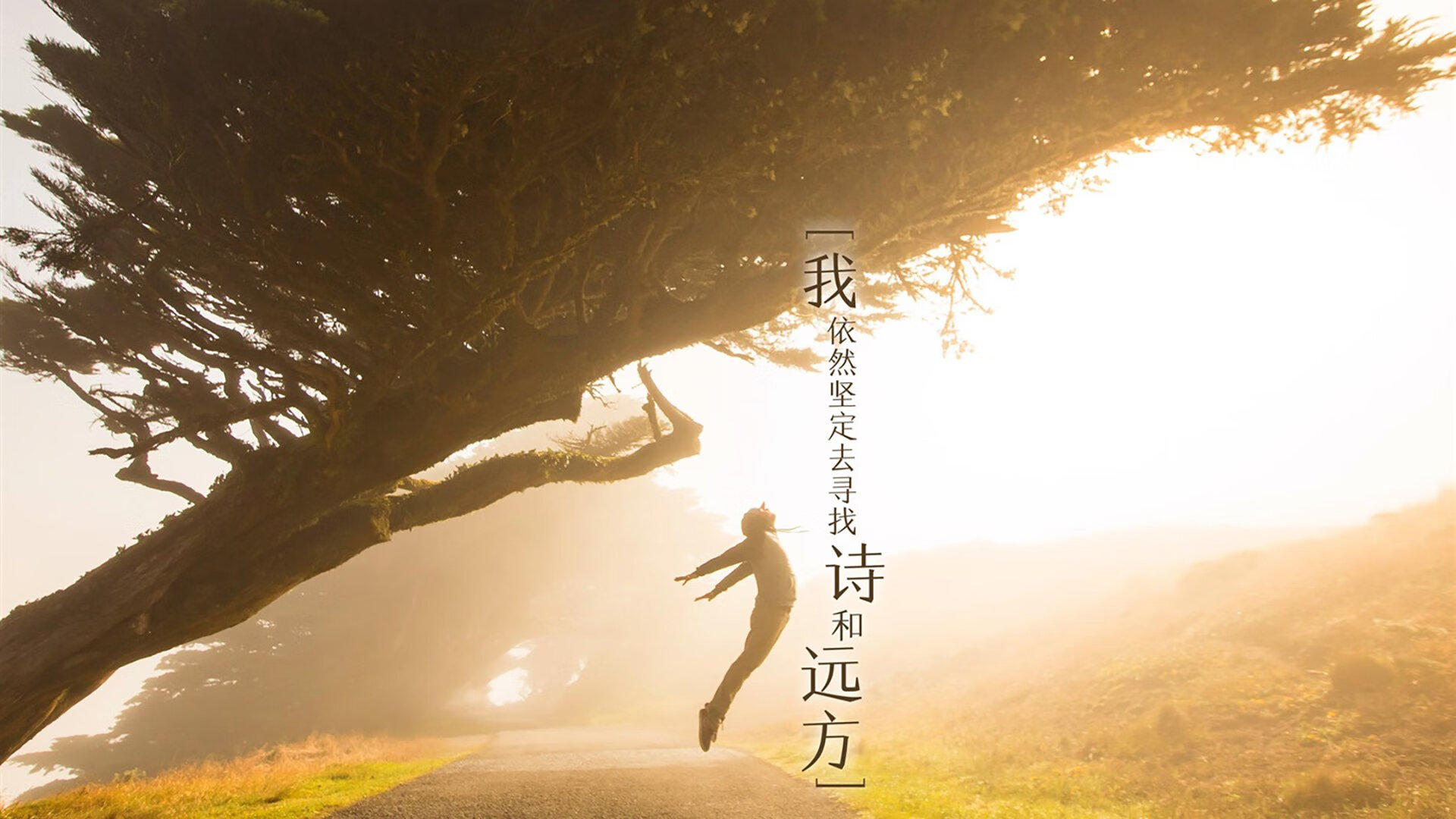 蓝白之夜的异乡英雄,2026生死战,莱万如何以敌人身份拯救阿根廷