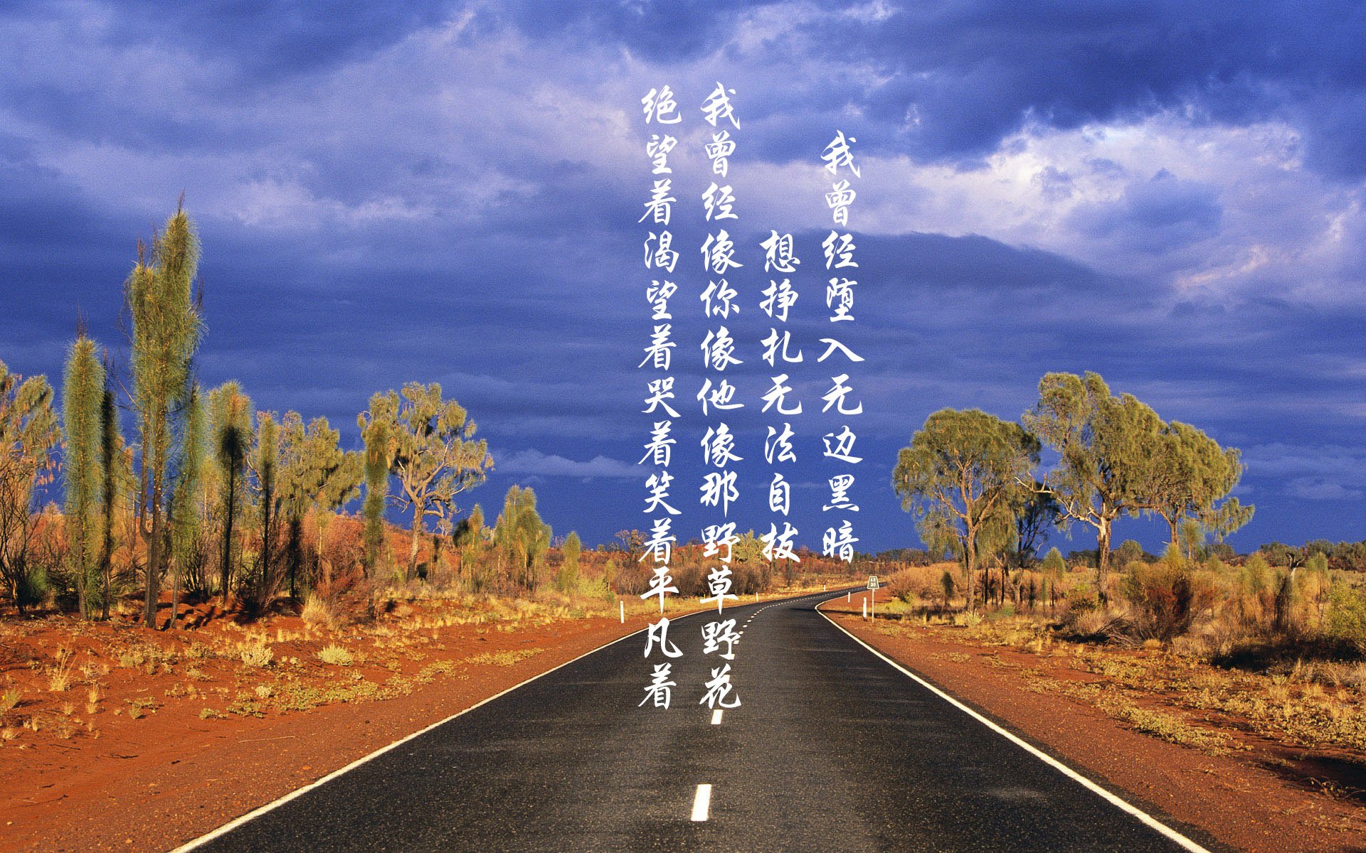 维尼修斯的魔幻时刻，一场改写世界杯命运的压哨绝杀与哥斯达黎加的史诗大胜